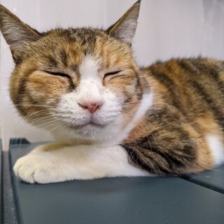 にんまり笑顔の　紅葉♀