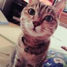 かりんとう。