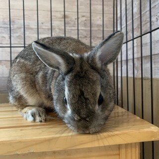 ちみお【元気な男の子】