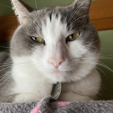 眠い‥