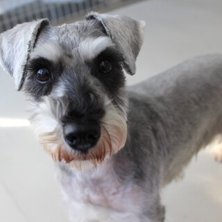 リルムちゃん　推定5才