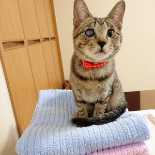 ロータリーで生まれた！サンちゃん５ヶ月