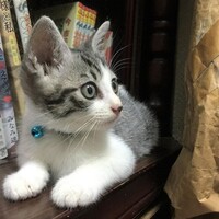 黒運（こくうん）君