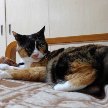 の写真