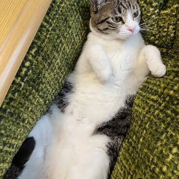 の写真