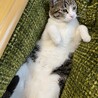 の写真