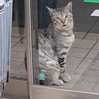 早くケージから出たいよ〜