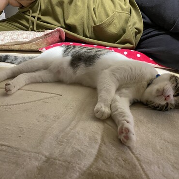 の写真