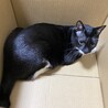 の写真