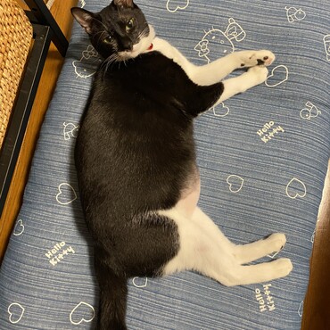 の写真