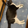 の写真