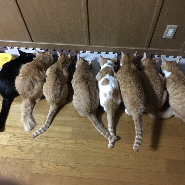 マナベのカバー写真