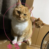 まる