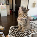 美形一族！たぁたちゃん☆