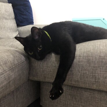 の写真