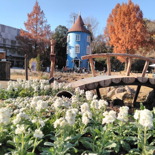 ムーミン谷のミーのカバー写真