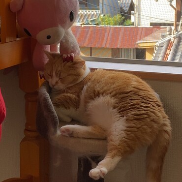 の写真