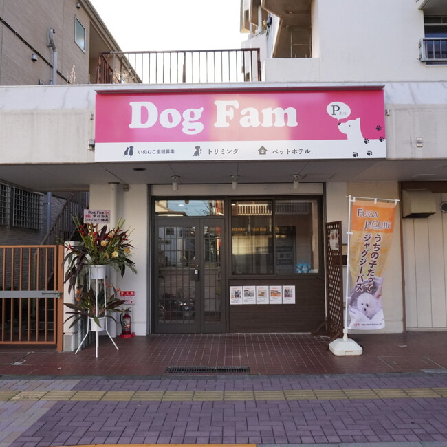 Dog Famのカバー写真