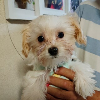 多くの応募をありがとうございます一旦ストップします