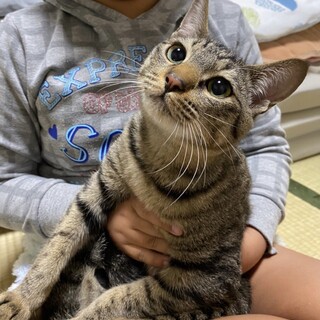 丸顔の可愛い男の子　かずふみ君