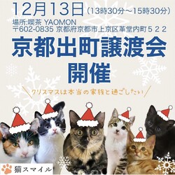 ねこの譲渡会@YAOMON サムネイル2