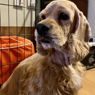 ☆❣️家族が決まりました❣️☆