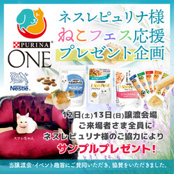 あなたが繋ぐ、保護猫の物語ー。『訳猫の譲渡会』（わけねこ譲渡会） サムネイル3