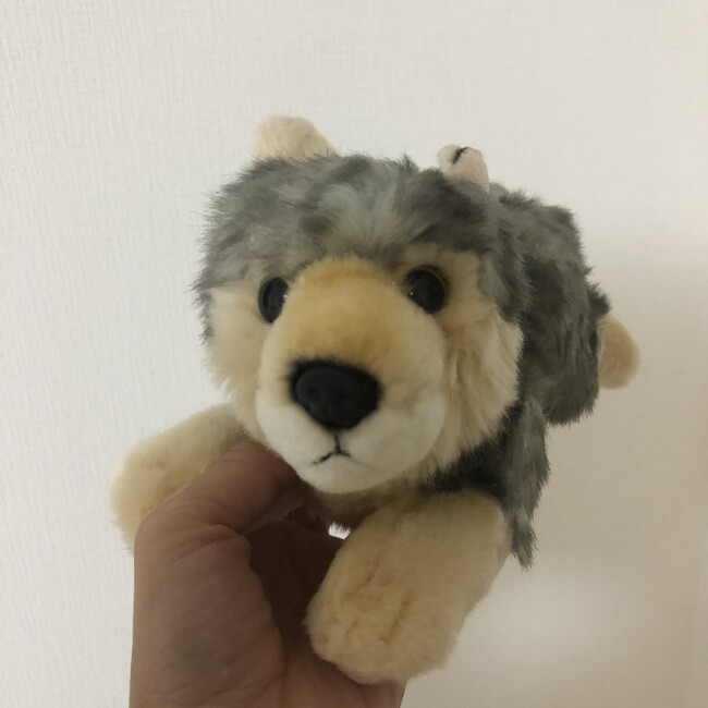 アナダイヤのカバー写真