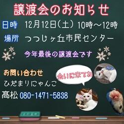 保護猫の譲渡会in名張