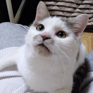 甘えるの大好きな男の子