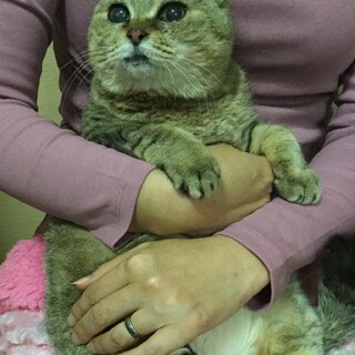 優しいおばあちゃん