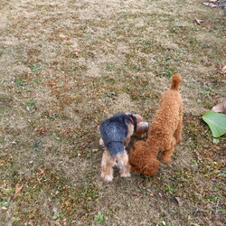 元気にお出掛け