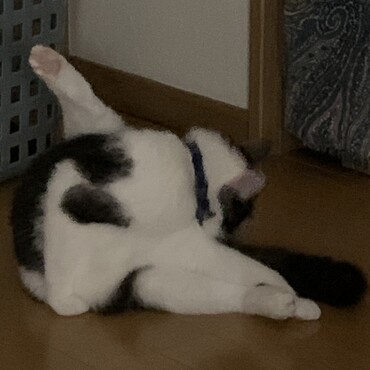 の写真