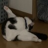 の写真