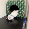 の写真