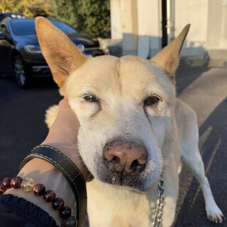 残念ながら亡くなってしまいました。