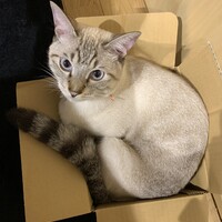 ジュナ
