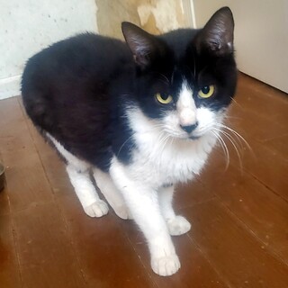 大人しくて賢いホタルくん