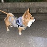 の写真