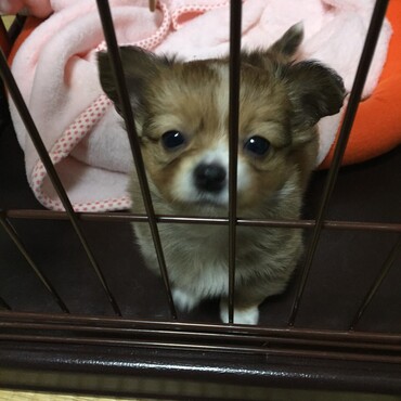 の写真