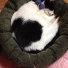 ハートです。
