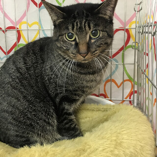 お外で頑張って来たはなちゃん