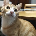 遊ぶのが大好きなリキくん✩随時見学可！