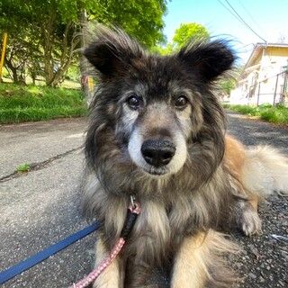 のんびりマイペース♪【ジェイ】くん