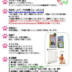 LINEオンライン譲渡会（ライブ！） サムネイル3