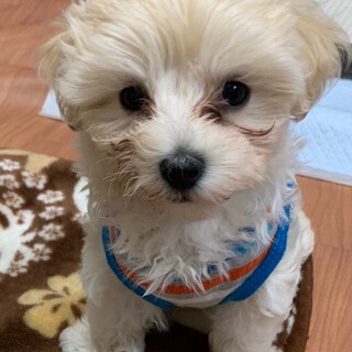 多数ご応募ありがとうございます。一旦ストップします