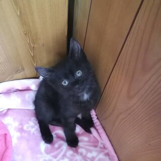 見学歓迎　ブルーナくん