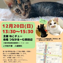 ねこチュー第6回猫の譲渡会