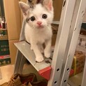 やんちゃ坊主のかりん君です！