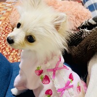 ルナ
